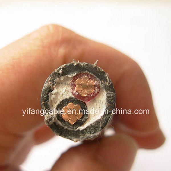 China 
                                 450/750 V 2 x 10 mm2 Kupferleiter PVC-Draht                              Herstellung und Lieferant