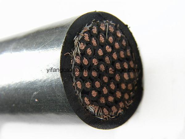 China 
                                 450/750V El cable de control                              fabricante y proveedor