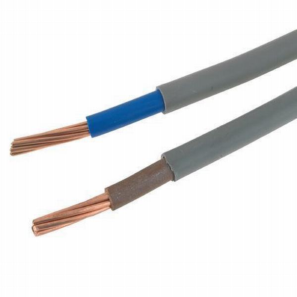 China 
                                 450/750V Cable de cobre trenzado aislamiento de PVC Revestimiento de PVC de cable de la casa de un solo núcleo                              fabricante y proveedor