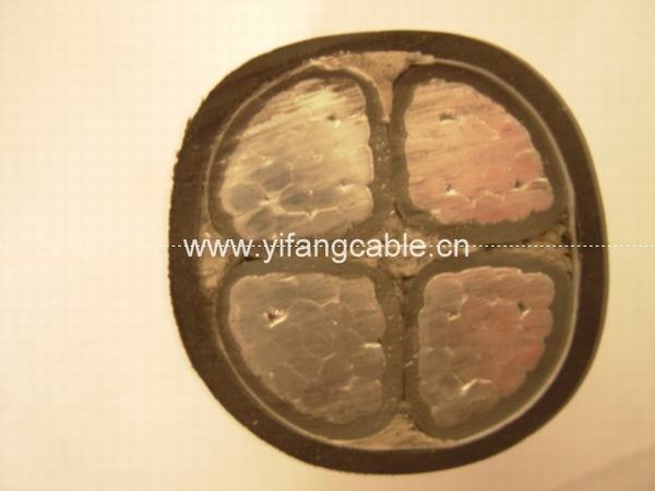 China 
                                 450 V, 600 V PVC-Isoliertes Kabel                              Herstellung und Lieferant