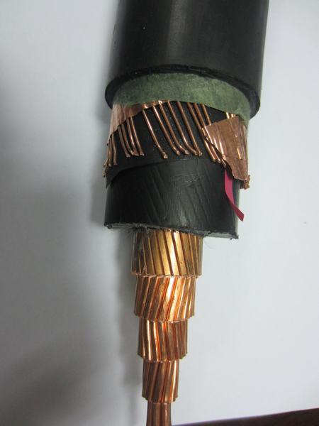 China 
                                 6/10kv XLPE N2xsy Cable de alimentación/Na2xsy Na2xs (F) 2y el cable de N2xy                              fabricante y proveedor