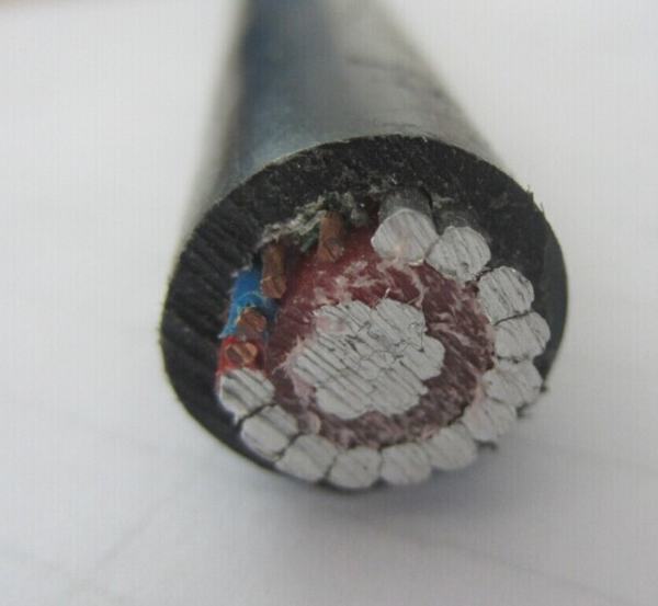 China 
                        600/1000V Copper Conductor PVC Insulated Concentric Cable 1X16mm2
                      manufacture and supplier