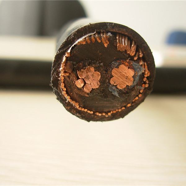 China 
                        600/1000V Copper Core Round 2 Core Copper Wire Armoured Concentric Power Cable
                      manufacture and supplier