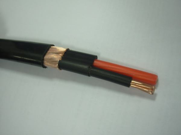 China 
                        600V 2X8 2X10 3X6 3X8 AWG XLPE Insulated Copper Concentric Cable
                      manufacture and supplier