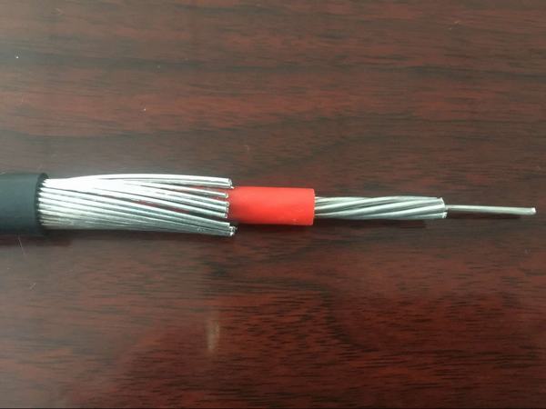 China 
                        600V Concentric Cable 10mm2 Aluminum
                      manufacture and supplier