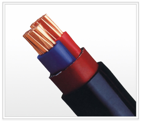 
                600V XLPE isoliertes, PVC-ummanteltes Netzkabel, Elektrisches Kabel LV Kupferstromkabel
            