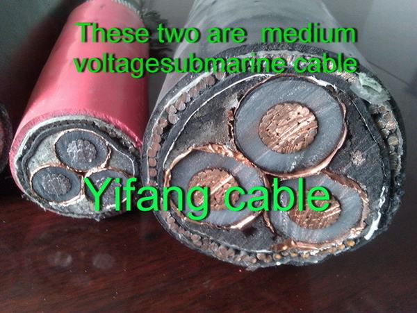 China 
                                 8.7/15 Conductor de cobre aislado de Kv XLPE recubierto de PVC blindado el cable de alimentación 3x185mm2                              fabricante y proveedor