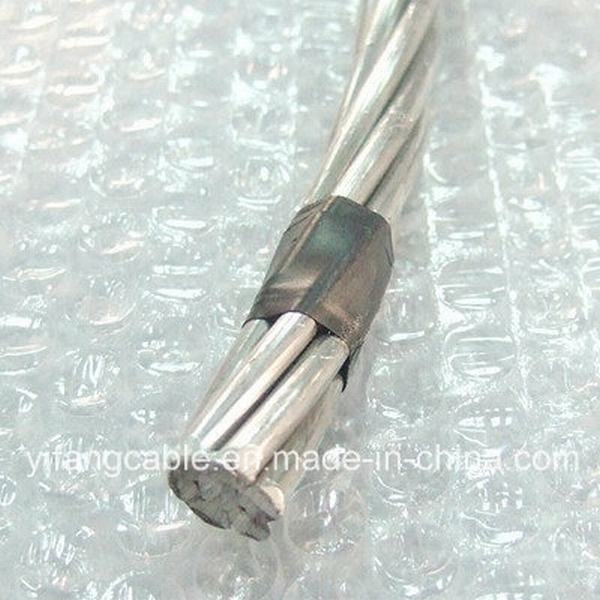 China 
                        AAAC Overhead Bare Conductor 50mm2
                      manufacture and supplier