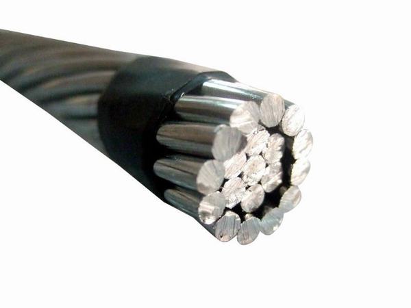 China 
                        AAC AAAC ACSR Overhead Transmission Line Bare Aluminium Conductors
                      manufacture and supplier