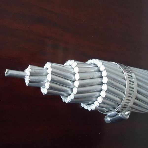 China 
                        AAC Conductor--All Aluminium Conductor Fly Rail Zebra Dog Moose
                      manufacture and supplier