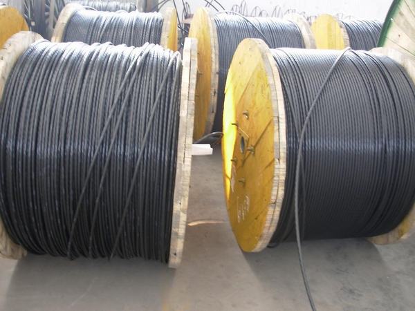 Chine 
                                 ABC du câble de transmission de puissance électrique                              fabrication et fournisseur
