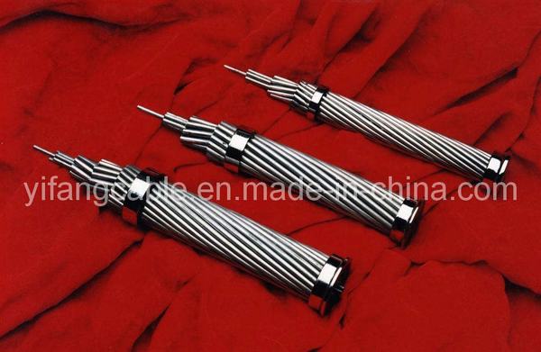China 
                        ACSR Aluminium Conductor Steel Reinforced Conductors (-1)
                      manufacture and supplier