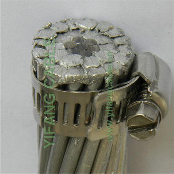 China 
                        ACSR Drake 795mcm Bare Conductor
                      manufacture and supplier