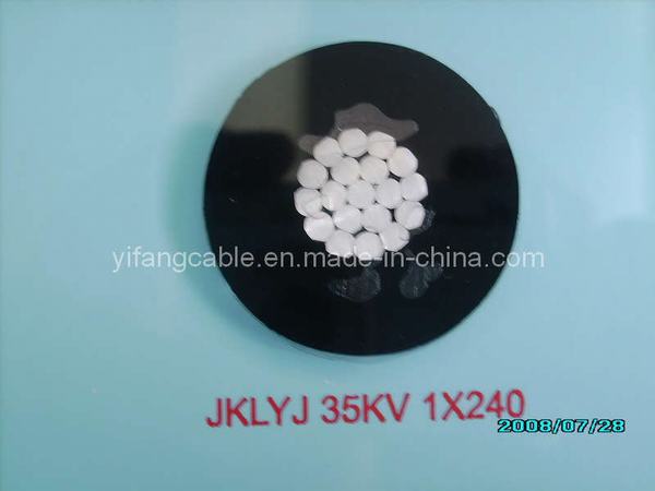 China 
                        Aerial Insulated Cable (JKLYJ-35KV)
                      manufacture and supplier