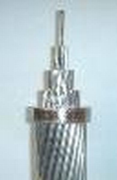 China 
                        All Aluminum Conductor / Overhead Conductor (AAC)
                      manufacture and supplier