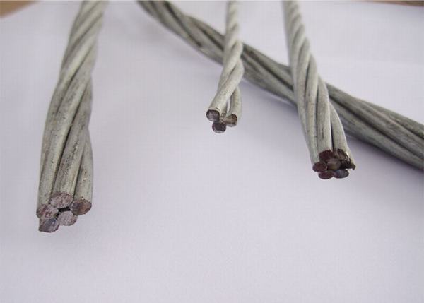 China 
                        Aluminum Clad Steel Conductor-Acs
                      manufacture and supplier