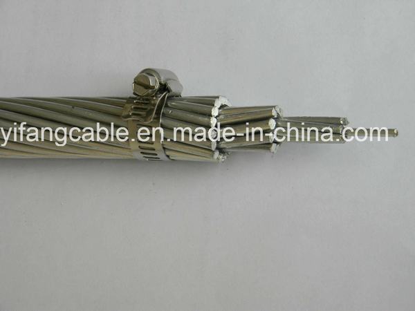 Cina 
                                 Conduttore in alluminio nudo AAC 50mm2 ASTM B231                              produzione e fornitore