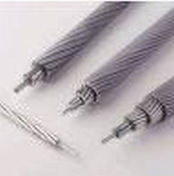 China 
                        Bare Conductor Used in Overhead (AAC & ACSR)
                      manufacture and supplier
