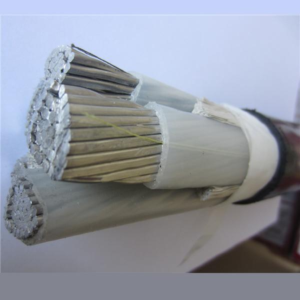 China 
                        Black PVC Jacket Al/XLPE/PVC Cable 0.6/1kV Cable
                      manufacture and supplier