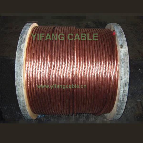 China 
                                 Conductor CCS/Conductor de acero revestido de cobre desnudo                              fabricante y proveedor