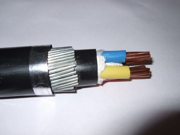 China 
                        Cable 4X16mm2 Electrical Power XLPE/PVC Insulated Copper/Aluminum
                      manufacture and supplier