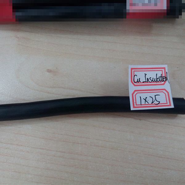 China 
                                 Cu Isole 1X25 mm2 Kabel-BT-De Terre En                              Herstellung und Lieferant