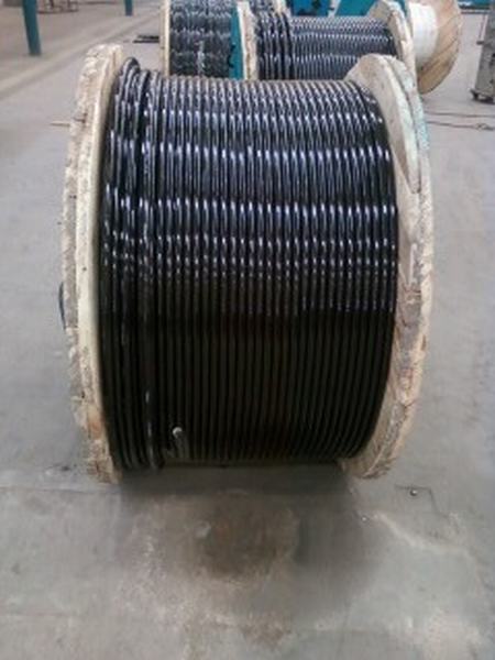 China 
                        Cathodic Protection Cable
                      manufacture and supplier