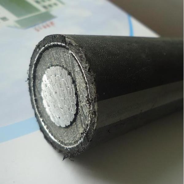 China 
                        Cis Cable 12/20 (24) Kv 18/30 (36) Kv Al Mv Underground Cable
                      manufacture and supplier
