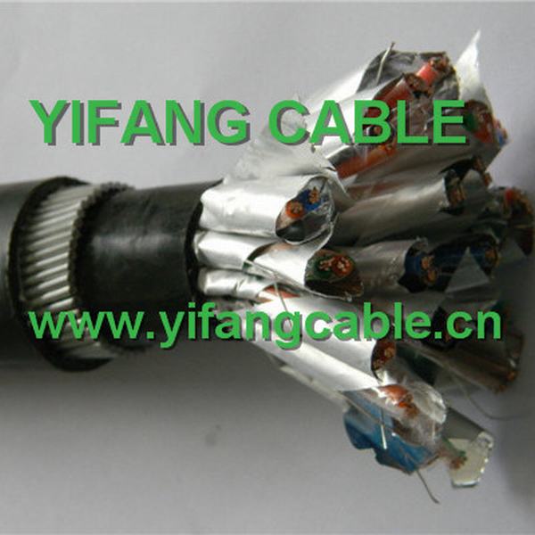 China 
                        Computer Cable and Instrument Cable
                      manufacture and supplier