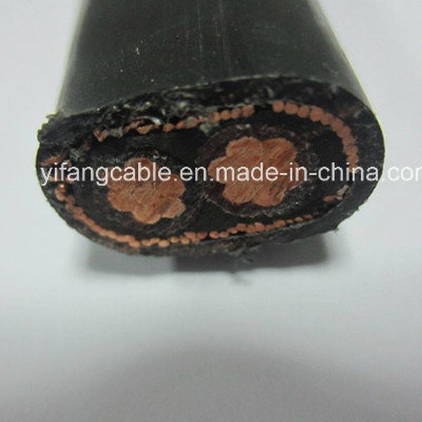 China 
                        Concentrice Cable for Service-Entrance (2X10mm2+10mm2)
                      manufacture and supplier