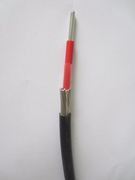 
                                 Concentrico Aluminio Kabel 2X16mm2 (XLPE-PVC) 0.6/1 KV                            