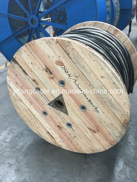 China 
                                 Conductor Triplex 4X2/0 de cable AWG AAC Netutral 2/0 ACSR                              fabricante y proveedor