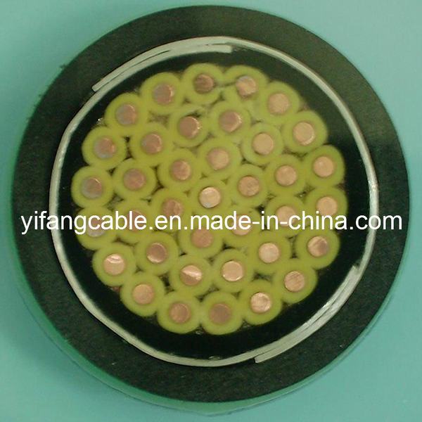China 
                        Control Cable (KVV22)
                      manufacture and supplier