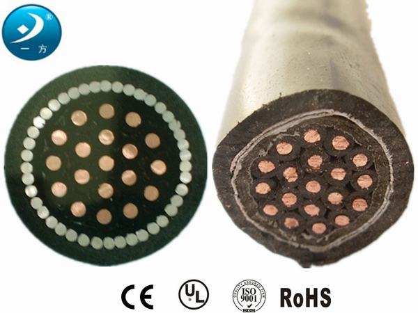 Control Cable with Solid Copper Conductors PVC Insulation PVC Sheathed