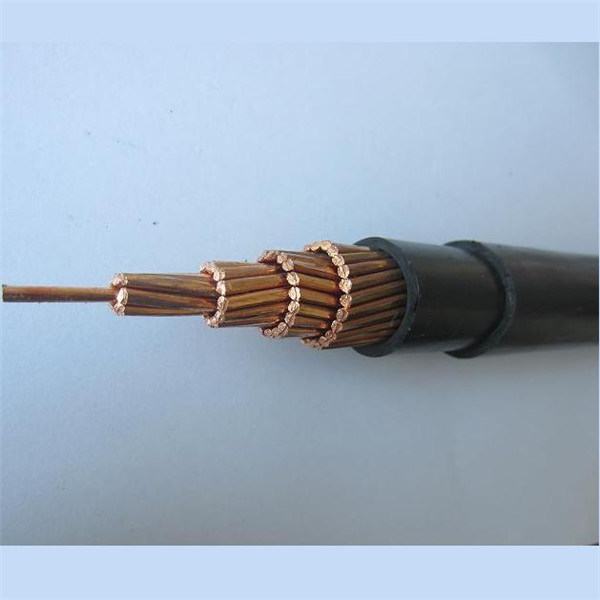 Chine 
                                 Conducteur de cuivre isolés en PVC/Gaine en PVC Câble Nyy 0.6/1kv                              fabrication et fournisseur