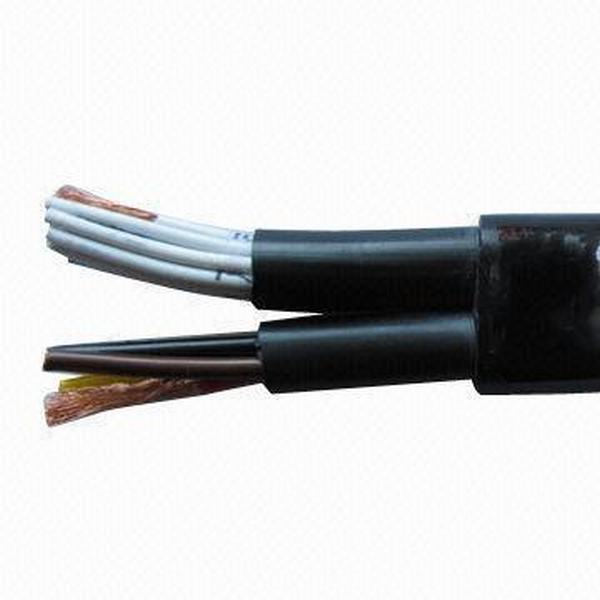 China 
                        Copper Conductor, PVC Insulated and Sheathed Control Cable
                      manufacture and supplier
