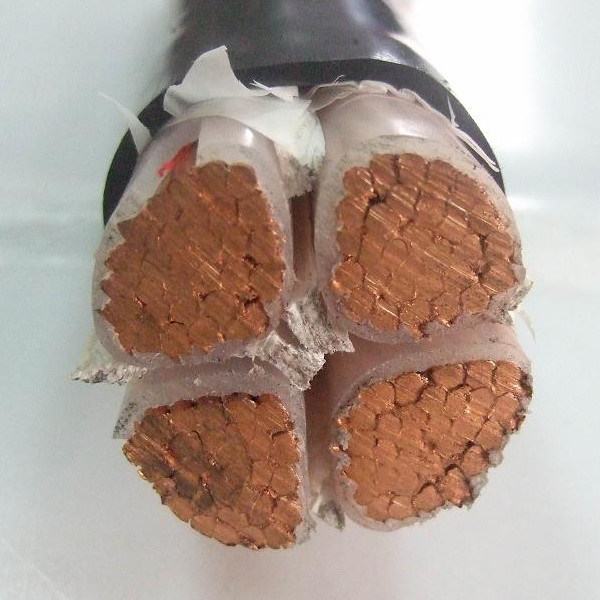 China 
                        Copper Conductor XLPE Insulated 600V XLPE Power Cable
                      manufacture and supplier