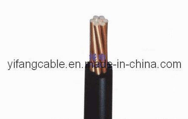 
                                 Núcleo de cobre com isolamento de PVC Fio eléctrico (BV)                            