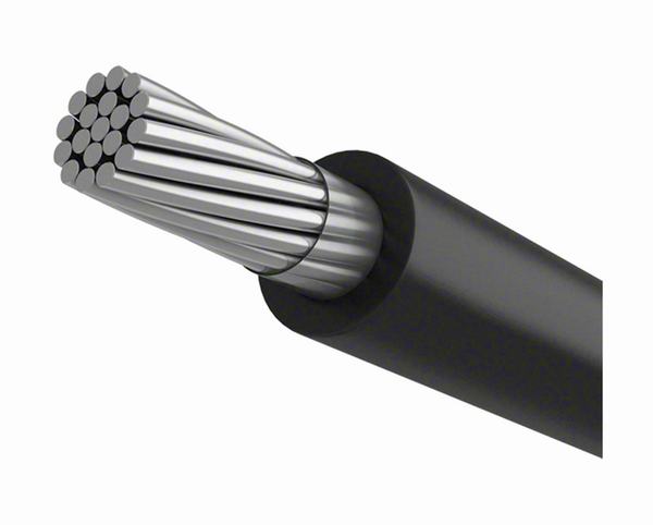 China 
                                 Cubiertas Cable conductor de aluminio AAC                              fabricante y proveedor