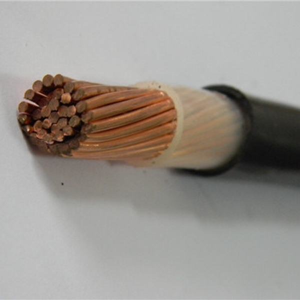 China 
                                 Cuivre U1000 RO2V 2 X 10 mm2, el cobre del cable de alimentación Cable aislante XLPE                              fabricante y proveedor