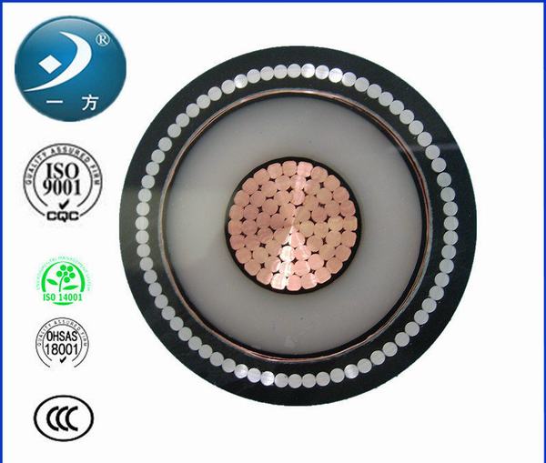 China 
                                 El cable eléctrico de cobre/Potencia Conducor                              fabricante y proveedor