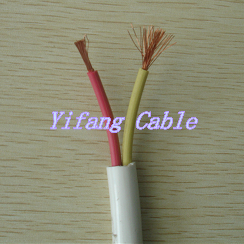 Chine 
                Le fil électrique isolés de PVC résistant au feu sur le fil conducteur en cuivre du fil en PVC flexible pour la construction de maisons
              fabrication et fournisseur