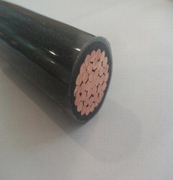China 
                        Electrical Thhn/Thwn-2 Copper Cable 350mcm 37 Strands 8mils Nylon Thickness Factory Price
                      manufacture and supplier
