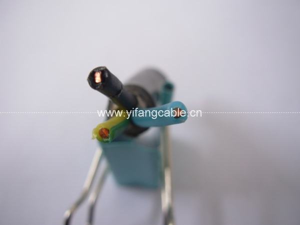 Chine 
                                 Fil électrique 4mm2 Conducteur en cuivre avec isolation PVC                              fabrication et fournisseur