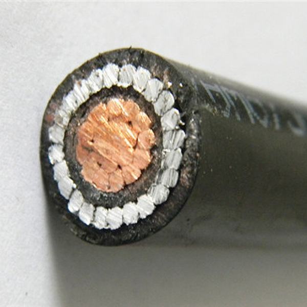 Cina 
                                 Cables resistente al fuoco Copper Conductor XLPE Insulated con Aluminum Wire Armoured Awa                              produzione e fornitore