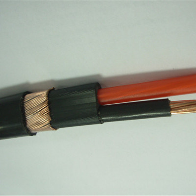 Flat Concentric Cable 2 Core Cu PVC Conductor Copper Wire Armoured Cable Copper Communication Wire Aluminum Concentric Aerial Service Cable 10mm2