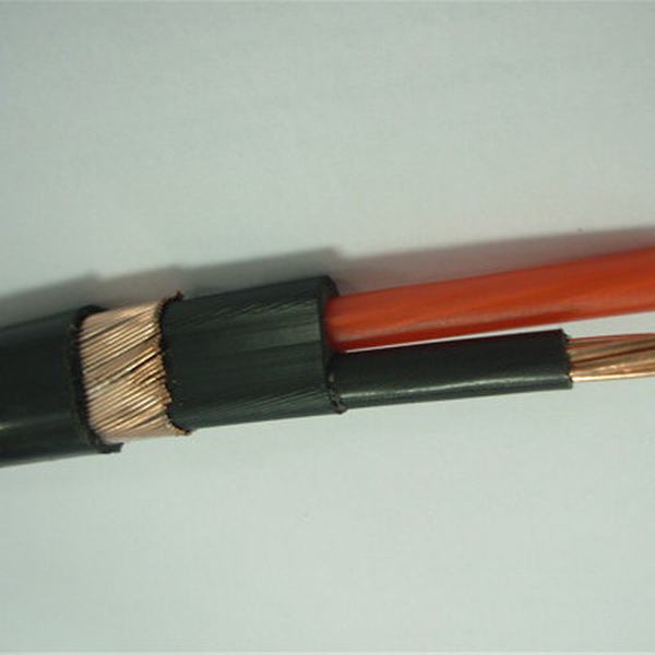 China 
                                 Flat Cable concéntrico de PVC de 2 núcleos de Cu de alambre de cobre conductores Cable blindado                              fabricante y proveedor