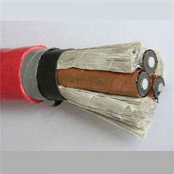China 
                        Frequency Conversion Cable for Connection up to 15kv
                      manufacture and supplier