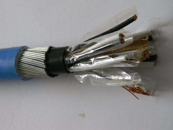 Китай 
                                 Инструментальный кабель Bsen 50288                              производитель и поставщик