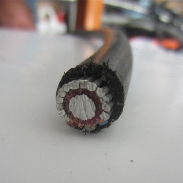 China 
                        LV Concentric Al Cable 10mm2 16mm2
                      manufacture and supplier